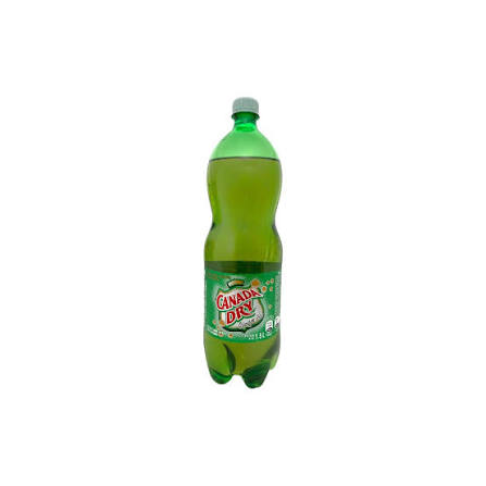 Canada Dry Ginger Ale 600ml